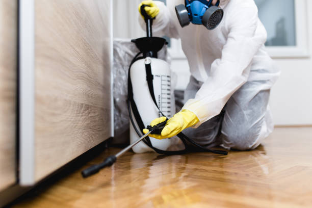 Best Termite Control Services  in Kiefer, OK