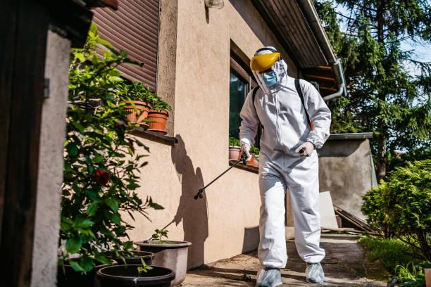 Best Pest Prevention Services  in Kiefer, OK