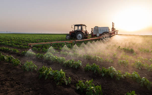 Best Local Pest Control Services  in Kiefer, OK