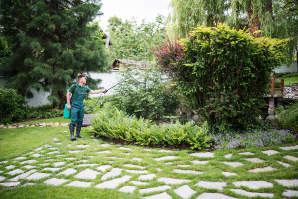Best Best Pest Control Companies  in Kiefer, OK