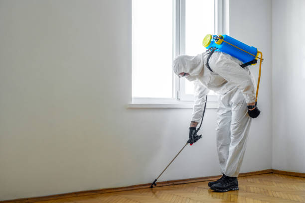 Best Affordable Pest Control Services  in Kiefer, OK