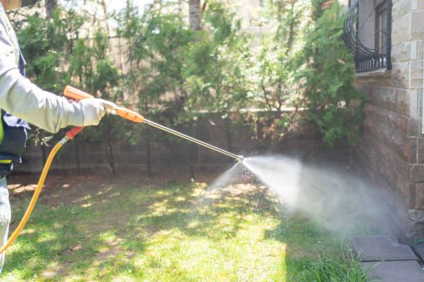 Best Affordable Pest Control Services  in Kiefer, OK