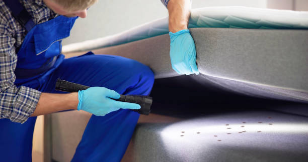 Best Termite Control Services  in Kiefer, OK