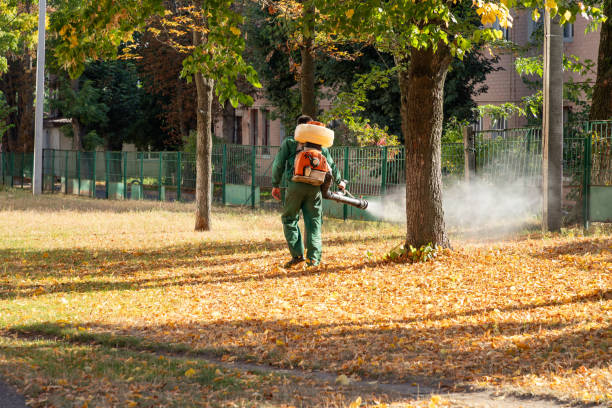 Best Flea Control Services  in Kiefer, OK