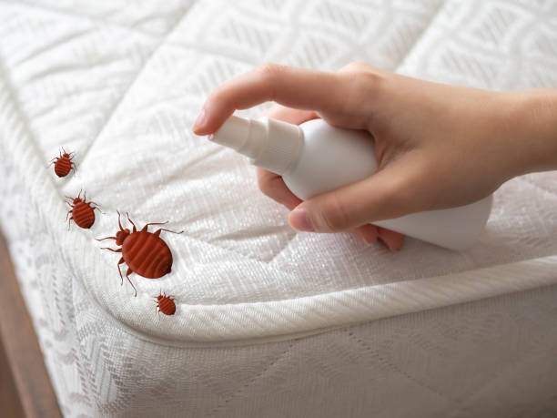 Best Local Pest Control Services  in Kiefer, OK