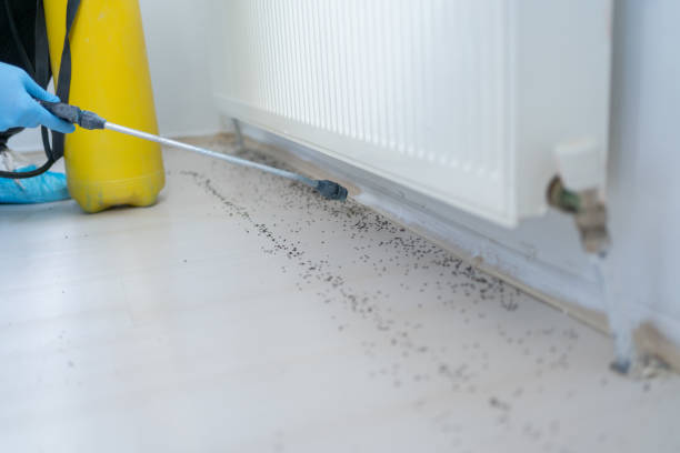 Trusted Kiefer, OK Pest Control Experts