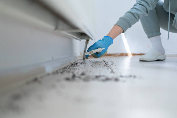 Best Emergency Pest Control  in Kiefer, OK
