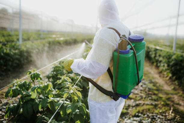 Best Affordable Pest Control Services  in Kiefer, OK